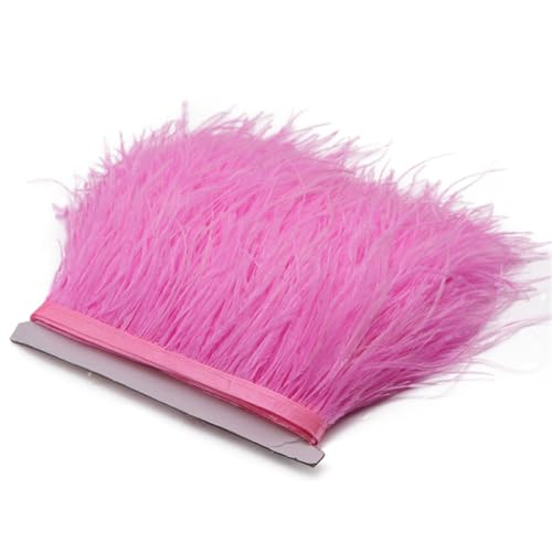 5/10 Meter Straußenfeder-Bordüre, Fransen, Straußen, Dekoration, Zierborten für Partykleid, Nähzubehör, Rose, Pnnrk, 5 Meter 5/10 Meter Straußenfeder-Bordüre, Fransen, Straußen, Dekoration, Zierborten für Partykleid, Nähzubehör, Rose, Pnnrk, 5 Meter von Generic
