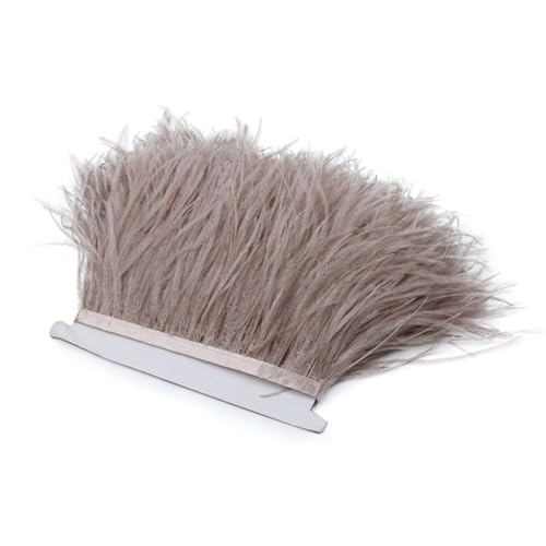 5/10 Meter Straußenfeder-Bordüre, Fransen, Straußen, Dekoration, Zierborten für Partykleid, Nähzubehör, leicht, 5 m 5/10 Meter Straußenfeder-Bordüre, Fransen, Straußen, Dekoration, Zierborten für Partykleid, Nähzubehör, leicht, 5 m von Generic