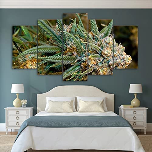 5-Teiliges Wandbild, Marihuana-Unkraut Kunstdruck Auf Leinwand 5 Aufeinanderfolgende Gemälde Hd Poster Kunst Wanddekoration Moderne Dekoration Für Wohnzimmer Zuhause Xxl/200 X 100 Cm 5-Teiliges Wandbild, Marihuana-Unkraut Kunstdruck Auf Leinwand 5 Aufeinanderfolgende Gemälde Hd Poster Kunst Wanddekoration Moderne Dekoration Für Wohnzimmer Zuhause Xxl/200 X 100 Cm von Generic