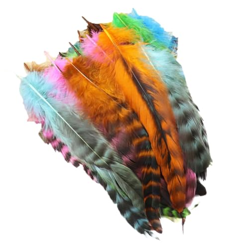 50/100 Stück natürliche Hühnerfedern, Hochzeit, Party, Dekoration, DIY, farbige Federn, Schmuckherstellung, Zubehör, Basteln, 10–15 cm, gemischte Farben, 50 Stück 50/100 Stück natürliche Hühnerfedern, Hochzeit, Party, Dekoration, DIY, farbige Federn, Schmuckherstellung, Zubehör, Basteln, 10–15 cm, gemischte Farben, 50 Stück von Generic