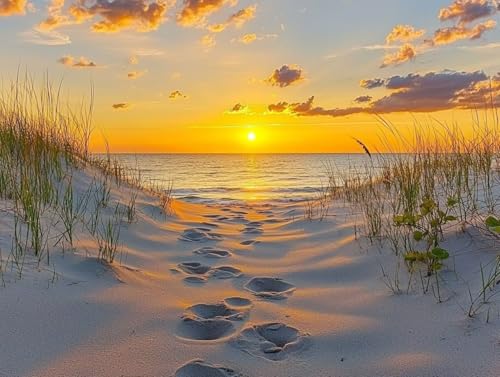 5D DIY Diamond Painting Bilder, Strand Sonnenuntergang Diamond Painting Kits für Erwachsene Anfänger Kinder, Mosaikherstellung Strass Full Drill Stickerei, Geschenk für Heimdekoration 25x40cm S442 5D DIY Diamond Painting Bilder, Strand Sonnenuntergang Diamond Painting Kits für Erwachsene Anfänger Kinder, Mosaikherstellung Strass Full Drill Stickerei, Geschenk für Heimdekoration 25x40cm S442 von Generic