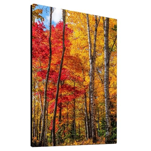 5D Diamond Painting Erwachsene Baum, Natur Diamant Painting Bilder, DIY Full Drill Mosaikherstellung Cross Stitch Bastelset Erwachsene, Geschenke für Frauen, Dekor Wohnzimmer, 80x110 cm model/-20438 5D Diamond Painting Erwachsene Baum, Natur Diamant Painting Bilder, DIY Full Drill Mosaikherstellung Cross Stitch Bastelset Erwachsene, Geschenke für Frauen, Dekor Wohnzimmer, 80x110 cm model/-20438 von Generic