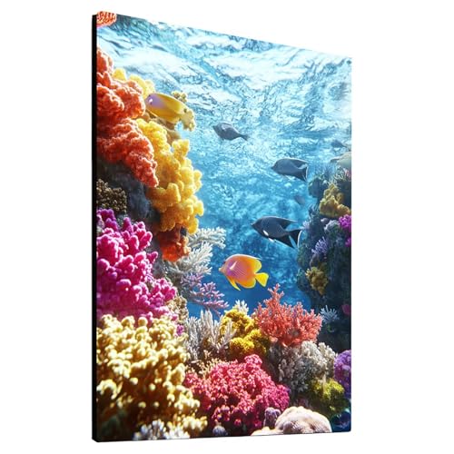 5D Diamond Painting Erwachsene Koralle, Fisch Diamant Painting Bilder, DIY Full Drill Mosaikherstellung Cross Stitch Bastelset Erwachsene, Geschenke für Frauen, Dekor Wohnzimmer, 40 x 55cm model-20144 von Generic
