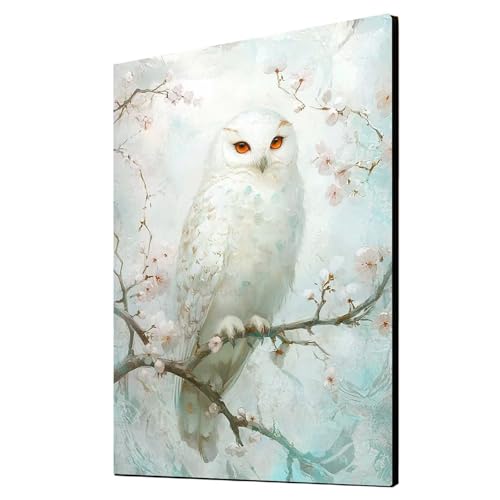 5D Diamond Painting Eule Vollbohrer Diamant Malen Nach Zahlen Tier mit Diamond Painting Zubehör Set, Diamant Cross Stitch Stickerei Bastelset Erwachsene für Deko Wohnzimmer 30x40 cm 1ZSH- 17632 5D Diamond Painting Eule Vollbohrer Diamant Malen Nach Zahlen Tier mit Diamond Painting Zubehör Set, Diamant Cross Stitch Stickerei Bastelset Erwachsene für Deko Wohnzimmer 30x40 cm 1ZSH- 17632 von Generic