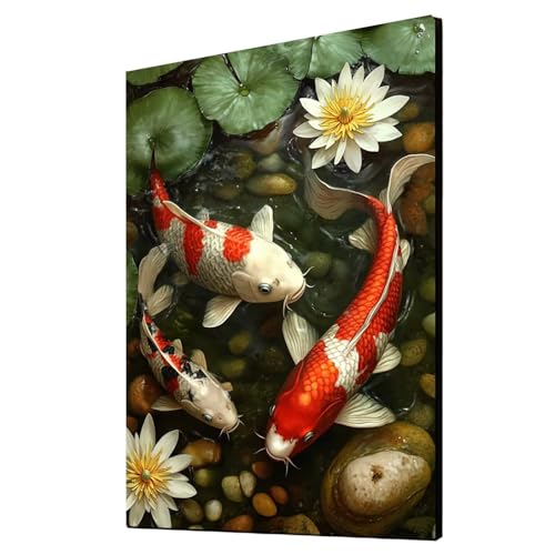 5D Diamond Painting Fisch Vollbohrer Diamant Malen Nach Zahlen Tier mit Diamond Painting Zubehör Set, Diamant Cross Stitch Stickerei Bastelset Erwachsene für Deko Wohnzimmer 35x50 cm 1ZSH-15583 von Generic