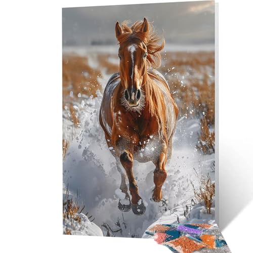 5D Diamond Painting Horse mit Diamond Painting Zubehör Set, Diamant Malen Nach Zahlen Tier, Diamant Cross Stitch Stickerei Bastelset Erwachsene für Deko Wohnzimmer und Geschenke 90x120cm model/-4689 von Generic