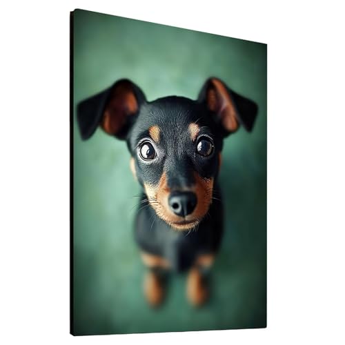 5D Diamond Painting Hund mit Diamond Painting Zubehör Set, Diamant Malen Nach Zahlen Tier, Diamant Cross Stitch Stickerei Bastelset Erwachsene für Deko Wohnzimmer und Geschenke 90x120cm model/-22049 von Generic