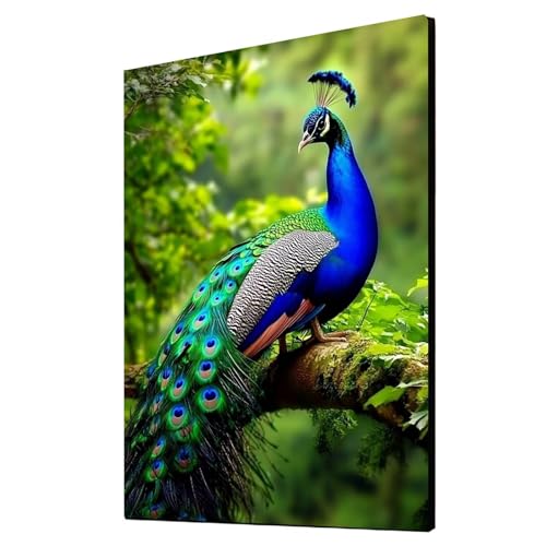 5D Diamond Painting Pfau Vollbohrer Diamant Malen Nach Zahlen Tier mit Diamond Painting Zubehör Set, Diamant Cross Stitch Stickerei Bastelset Erwachsene für Deko Wohnzimmer 50 x 70 cm 1ZSH-20875 von Generic