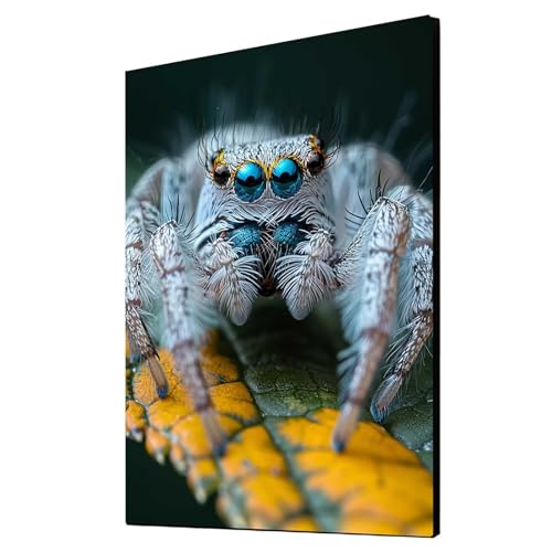 5D Diamond Painting Spinne Vollbohrer Diamant Malen Nach Zahlen Tier mit Diamond Painting Zubehör Set, Diamant Cross Stitch Stickerei Bastelset Erwachsene für Deko Wohnzimmer 60x80 cm 1ZSH-16996 5D Diamond Painting Spinne Vollbohrer Diamant Malen Nach Zahlen Tier mit Diamond Painting Zubehör Set, Diamant Cross Stitch Stickerei Bastelset Erwachsene für Deko Wohnzimmer 60x80 cm 1ZSH-16996 von Generic