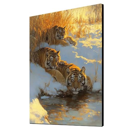 5D Diamond Painting Tiger Vollbohrer Diamant Malen Nach Zahlen Tier mit Diamond Painting Zubehör Set, Diamant Cross Stitch Stickerei Bastelset Erwachsene für Deko Wohnzimmer 70x95 cm 1ZSH- 5977 5D Diamond Painting Tiger Vollbohrer Diamant Malen Nach Zahlen Tier mit Diamond Painting Zubehör Set, Diamant Cross Stitch Stickerei Bastelset Erwachsene für Deko Wohnzimmer 70x95 cm 1ZSH- 5977 von Generic