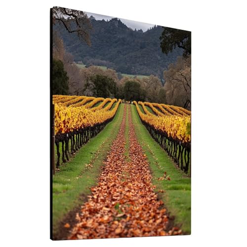 5D Diamond Painting Traube mit Diamond Painting Zubehör Set, Diamant Malen Nach Zahlen Landschaft, Diamant Cross Stitch Stickerei Bastelset Erwachsene für Deko Wohnzimmer 90 x 120 cm model/-20429 5D Diamond Painting Traube mit Diamond Painting Zubehör Set, Diamant Malen Nach Zahlen Landschaft, Diamant Cross Stitch Stickerei Bastelset Erwachsene für Deko Wohnzimmer 90 x 120 cm model/-20429 von Generic