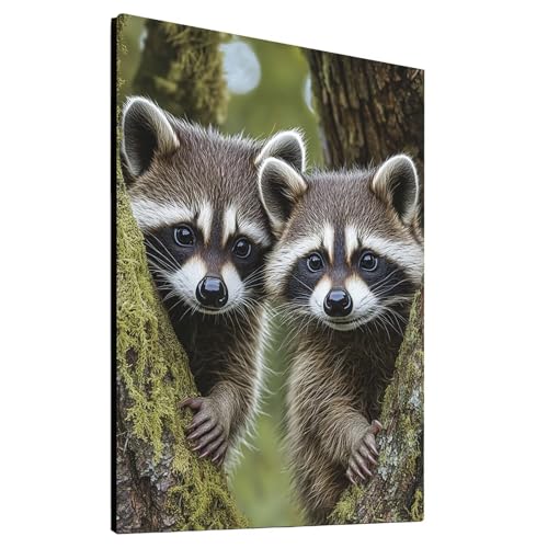 5D Diamond Painting Waschbär mit Diamond Painting Zubehör Set, Diamant Malen Nach Zahlen Tier, Diamant Cross Stitch Stickerei Bastelset Erwachsene für Deko Wohnzimmer, Geschenke 90x120cm model/-13689 von Generic