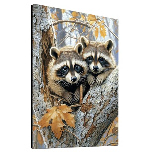 5D Diamond Painting Waschbär mit Diamond Painting Zubehör Set, Diamant Malen Nach Zahlen Tier, Diamant Cross Stitch Stickerei Bastelset Erwachsene für Deko Wohnzimmer und Geschenke 70x95cm model-12247 von Generic