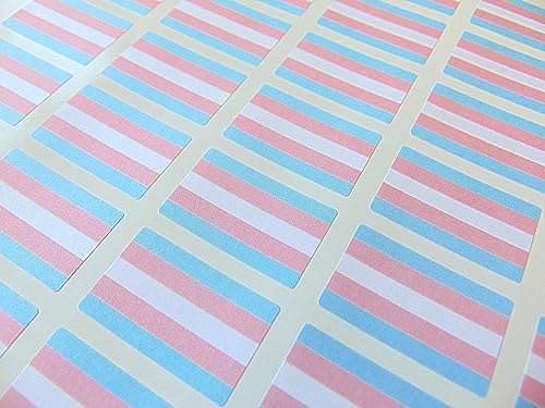 60 Stück kleine 33 x 20 mm Transgender Pride Regenbogen LGBT-Flaggen-Aufkleber, klebrige Etiketten von Generic