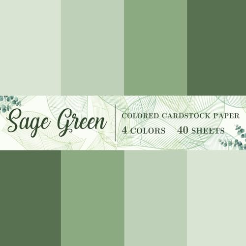 AnyDesign Dickes Papier, 21,6 x 27,9 cm, Salbeigrün, Farbverlauf, Papierkarten für Drucke, DIY, Kunst, Handwerk, Schule, Büro, Zuhause, 29,5 kg, 40 Blatt AnyDesign Dickes Papier, 21,6 x 27,9 cm, Salbeigrün, Farbverlauf, Papierkarten für Drucke, DIY, Kunst, Handwerk, Schule, Büro, Zuhause, 29,5 kg, 40 Blatt von Generic