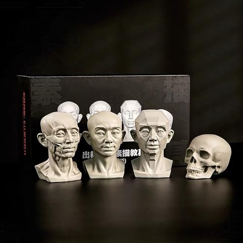 Artists Mannequin Set, 4 Stück - Muskel, Schädel, Planar & Original Kopf Modelle für Skizzieren Zeichnen Referenz (männlich) von Generic