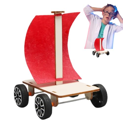 Bauen Sie ein Auto-Kit – Wissenschaftliches Modell, interaktive Aktivität für Kinder | pädagogisches Holzbausatz zum Bauen mit Motorikprojekten Einfallsreichtum Erfahrungen Schule Geschenk Geburtstag Bauen Sie ein Auto-Kit – Wissenschaftliches Modell, interaktive Aktivität für Kinder | pädagogisches Holzbausatz zum Bauen mit Motorikprojekten Einfallsreichtum Erfahrungen Schule Geschenk Geburtstag von Generic