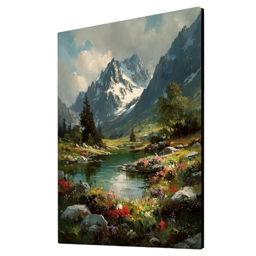 Berg Malen Nach Zahlen Erwachsene Landschaft Malen Nach Zahlen 30x40 cm DIY Basteln Erwachsene Klarheit Farbe Leinwan Bilder mit Acrylfarben Set 3 Typen Pinsel für Deko Wohnzimmer Geschenke 2YH-4732 von Generic