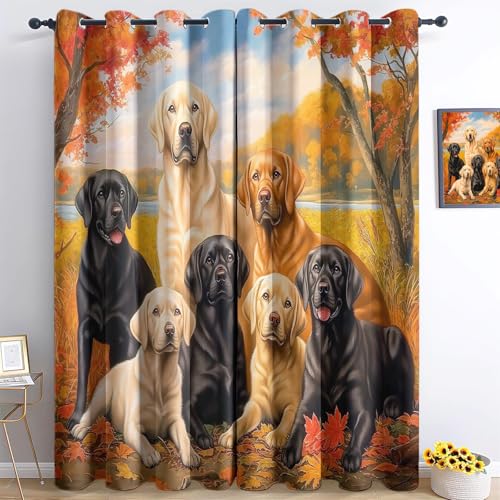 Blickdichte Vorhänge Tiere Eine Gruppe Von Hunden Herbstlandschaft Bunt H166 x B75 cm (2er Pack), Vorhänge Mit Ösen Thermovorhang Kälteschutz, Blickdicht Gardine Für Schlafzimmer Wohnzimmer Deko von Generic