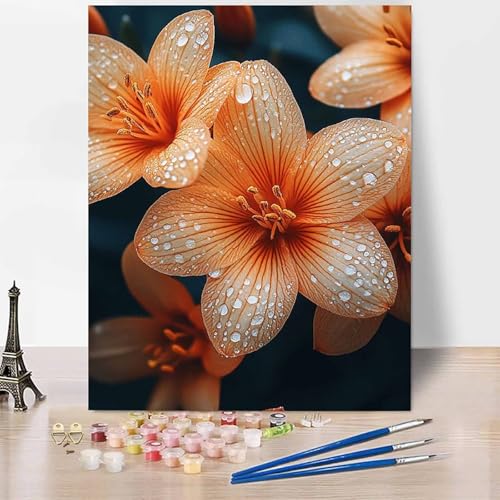 Blumen Malen Nach Zahlen Erwachsene Einfachheit Malen Nach Zahlen Kreativ Set Erwachsene 40 x 60 cm, Leinwand Ölgemälde Bastelset mit Pinsel und Farben für Geschenke für Frauen, Ohne Rahmen -XY959 von Generic
