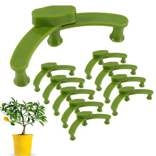 Bonsai-Zangen – Pflanzenstützzangen | Pflanzenklammern | Gartenklammern | Befestigungszange für Zweige Extraktoren für Modellierwerkzeug Bonsai-Zangen – Pflanzenstützzangen | Pflanzenklammern | Gartenklammern | Befestigungszange für Zweige Extraktoren für Modellierwerkzeug von Generic
