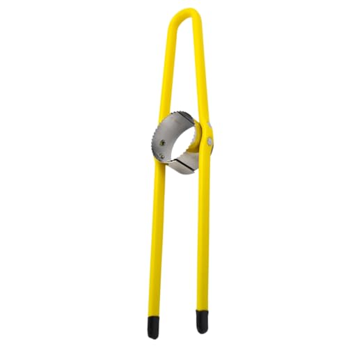 Corn Peeler, Mais-Kernel-Entferner-Werkzeug | Corn Cob Peeler | Edelstahl-Schädel-Entfernungswerkzeug für Grills Popcorn Vorbereitung Corn Peeler, Mais-Kernel-Entferner-Werkzeug | Corn Cob Peeler | Edelstahl-Schädel-Entfernungswerkzeug für Grills Popcorn Vorbereitung von Generic