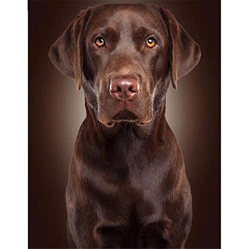 DIY 5D Diamond Painting Bilder Set für Erwachsene Kinder, Round Drill Labrador 40x50cm Groß Diamant Malerei Stickerei Voll Strass Kreuz Stich Mosaik Gemälde Wanddekor Kunsthandwerk Geschenk 16x20inch von Generic