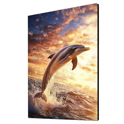 Delphin Malen Nach Zahlen Erwachsene Sonnenuntergang Malen Nach Zahlen 35x50cm DIY Basteln Erwachsene Klarheit Farbe Leinwan Bilder mit Acrylfarben Set 3 Typen Pinsel für Wanddeko Wohnzimmer 2YH-6513 von Generic