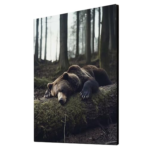 Diamond Painting Bär Vollbohrer Diamant Malen Nach Zahlen Tier mit Diamond Painting Zubehör Set, Diamant Cross Stitch Stickerei Bastelset Erwachsene für Deko Wohnzimmer, Geschenke 40x55cm 1ZSH-16924 von Generic