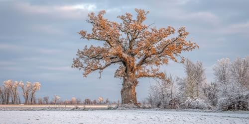 Diamond Painting Baum, 5D Diamond Painting Zubehör, Landschaft DIY Full Drill Rund Bohrer Kristall Wasserbohrer Kreuz Stickerei Basteln Kits Für Erwachsene kinder, Geschenk und Wanddeko 50x25cm T-z866 Diamond Painting Baum, 5D Diamond Painting Zubehör, Landschaft DIY Full Drill Rund Bohrer Kristall Wasserbohrer Kreuz Stickerei Basteln Kits Für Erwachsene kinder, Geschenk und Wanddeko 50x25cm T-z866 von Generic