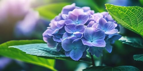 Diamond Painting Blume, 5D Diamond Painting Zubehör, Anlage DIY Full Drill Rund Bohrer Kristall Wasserbohrer Kreuz Stickerei Basteln Kits Für Erwachsene kinder, Geschenk und Wanddeko 180x90cm T-z380 Diamond Painting Blume, 5D Diamond Painting Zubehör, Anlage DIY Full Drill Rund Bohrer Kristall Wasserbohrer Kreuz Stickerei Basteln Kits Für Erwachsene kinder, Geschenk und Wanddeko 180x90cm T-z380 von Generic