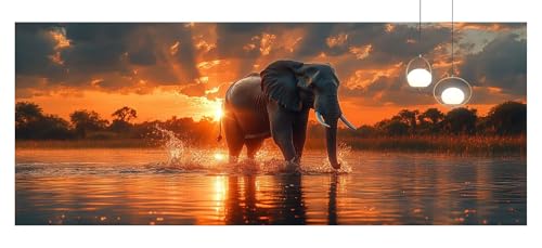 Diamond Painting Elefant Diamond Painting Erwachsene Groß xxl 50x150cm Diamant Malerei Bilder Sonnenuntergang DIY 5D Eckige Steine Strass Kristall Stickerei Kreuzstich Leinwand Basteln Dekor z880f Diamond Painting Elefant Diamond Painting Erwachsene Groß xxl 50x150cm Diamant Malerei Bilder Sonnenuntergang DIY 5D Eckige Steine Strass Kristall Stickerei Kreuzstich Leinwand Basteln Dekor z880f von Generic