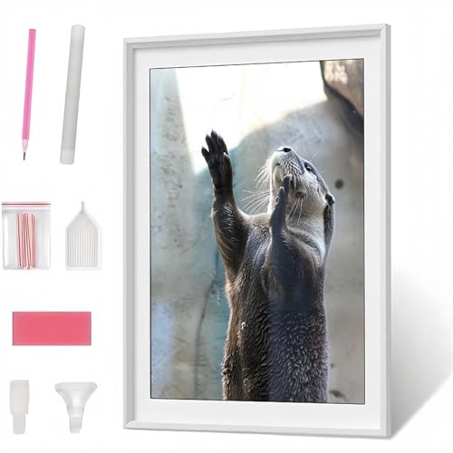 Diamond Painting Erwachsene, Diamant Painting Tier Seeotter, Diamond Art Set für Erwachsene Kinder, Komplettes DIY Diamant Malerei Malen Stickset, Kreuzstichbilder für Wohnkultur 30x40cm PJY1857 Y-3 Diamond Painting Erwachsene, Diamant Painting Tier Seeotter, Diamond Art Set für Erwachsene Kinder, Komplettes DIY Diamant Malerei Malen Stickset, Kreuzstichbilder für Wohnkultur 30x40cm PJY1857 Y-3 von Generic