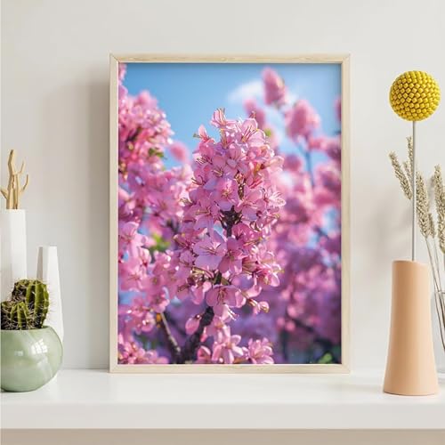 Diamond Painting Erwachsene Blumen 5D Blume Diamant Painting Bilder Diamond Art Set für Erwachsene Kinder, Komplettes DIY Diamant Malerei Malen Stickset, Kreuzstichbilder 40x50 cm PjY4773 5-8 von Generic