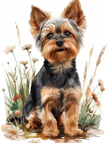 Diamond Painting Erwachsene Hund Diamond Painting Kinder Tier, Vollbohrer Diamanten Basteln Erwachsene Stickerei Kreuzstich Crystal Art Malerei für Zimmer Deko, Geschenk Frau 60x80cm -KF250611 Diamond Painting Erwachsene Hund Diamond Painting Kinder Tier, Vollbohrer Diamanten Basteln Erwachsene Stickerei Kreuzstich Crystal Art Malerei für Zimmer Deko, Geschenk Frau 60x80cm -KF250611 von Generic
