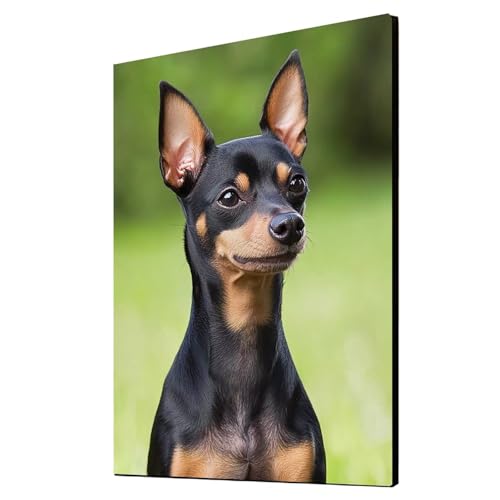 Diamond Painting Erwachsene Hund Diamond Painting Tier, Diamant Malen Nach Zahlen, 5D DIY Crystal art Cross Stickerei Basteln Erwachsene, Home Ästhetik Wand Dekor, Geschenke 70x95 cm 1ZSH-23327 von Generic