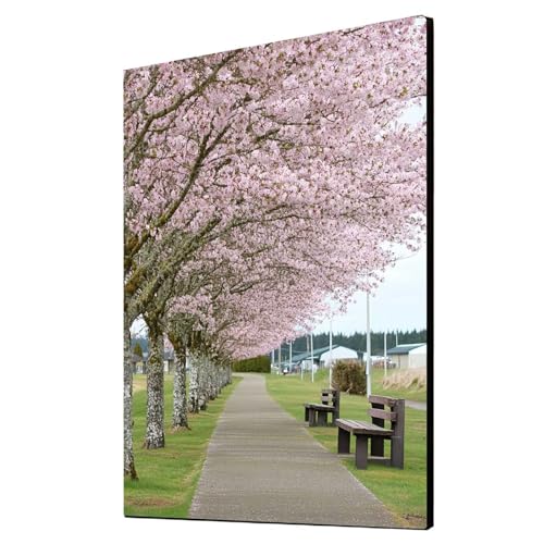 Diamond Painting Erwachsene Kirschblüten Diamond Painting Landschaft, Diamant Malen Nach Zahlen, 5D DIY Crystal art Cross Stickerei Basteln Erwachsene, Home Ästhetik Wand Dekor 80 x 110 cm 1ZSH-5478 von Generic