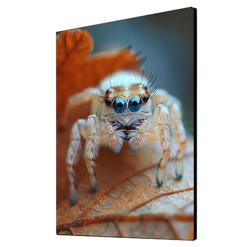 Diamond Painting Erwachsene Spinne Diamond Painting Tier, Diamant Malen Nach Zahlen, 5D DIY Crystal art Cross Stickerei Basteln Erwachsene, Home Ästhetik Wand Dekor, Geschenke 90x120 cm 1ZSH-16649 Diamond Painting Erwachsene Spinne Diamond Painting Tier, Diamant Malen Nach Zahlen, 5D DIY Crystal art Cross Stickerei Basteln Erwachsene, Home Ästhetik Wand Dekor, Geschenke 90x120 cm 1ZSH-16649 von Generic