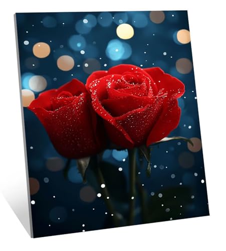 Diamond Painting Erwachsene Sternenhimmel Diamond Painting Kinder, DIY Full Drill Rose Diamant Malerei Erwachsene Set, Basteln Mädchen 7 10 Jahre Diamant Bilder, für Haus Dekoration 20x30 cm H-5702 von Generic