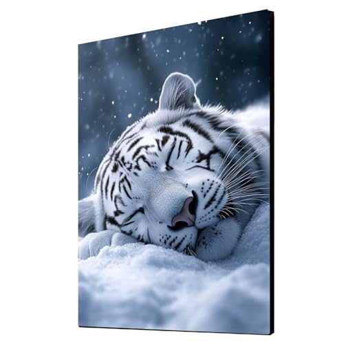 Diamond Painting Erwachsene Weißer Tiger Diamond Painting Tier, Diamant Malen Nach Zahlen, 5D DIY Crystal art Cross Stickerei Basteln Erwachsene, Home Ästhetik Wand Dekor, Geschenke 40x55cm 1ZSH-21884 von Generic