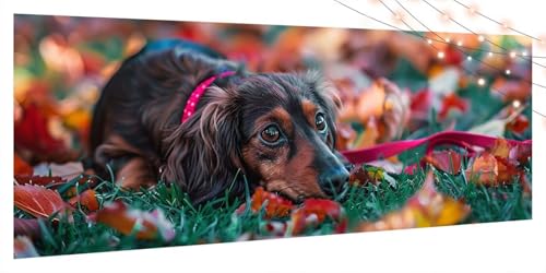 Diamond Painting Hund, Diamant Painting Bilder Erwachsene Tier, DIY Diamond Art Kinder Malen Nach Zahlen Bastelset, 5D Diamant Kunst Malerei Stickerei Set, Geschenke Home Wand Dekor 45x100cm T217 von Generic