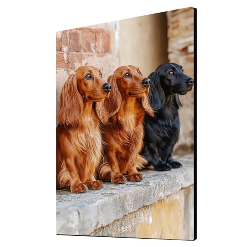 Diamond Painting Hund Vollbohrer Diamant Malen Nach Zahlen Tier mit Diamond Painting Zubehör Set, Diamant Cross Stitch Stickerei Bastelset Erwachsene für Deko Wohnzimmer, Geschenke 60x80cm 1ZSH-17446 Diamond Painting Hund Vollbohrer Diamant Malen Nach Zahlen Tier mit Diamond Painting Zubehör Set, Diamant Cross Stitch Stickerei Bastelset Erwachsene für Deko Wohnzimmer, Geschenke 60x80cm 1ZSH-17446 von Generic