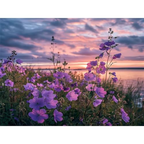 Diamond Painting Kinder Sonnenuntergang Diamant Painting Bilder Blume Diamant Malerei kits Erwachsene 30x40cm DIY Stickerei Kreuzstich Malen Nach Zahlen Anfänger Mosaik Bastelset,Deko Geschenke ZQ559 von Generic