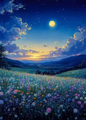 Diamond Painting Sternenhimmel Diamant Painting Bilder Wiese Crystal Art 5D DIY Eckige Steine Diamant Malerei Cross Stitch Stickerei Basteln Erwachsene für Zimmer Deko, Geschenke 50x70cm -bby250702 von Generic