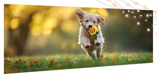 Diamond Painting Tier, Diamant Painting Bilder Erwachsene Hund, DIY Diamond Art Kinder Malen Nach Zahlen Bastelset, 5D Diamant Kunst Malerei Stickerei Set, Geschenke Home Wand Dekor 50x110cm T109 Diamond Painting Tier, Diamant Painting Bilder Erwachsene Hund, DIY Diamond Art Kinder Malen Nach Zahlen Bastelset, 5D Diamant Kunst Malerei Stickerei Set, Geschenke Home Wand Dekor 50x110cm T109 von Generic