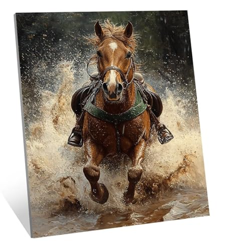 Diamond Painting Tier Diamant Painting Bilder Pferd Diamant Kunst Malerei Stickerei Set, DIY Vollbohrer Bastelset Erwachsene Diamanten, Als Geschenk, Zur Entspannung und Als Wanddeko 40x30 cm H-5373 von Generic