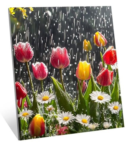 Diamond Painting Tulpe Diamant Painting Bilder Gänseblümchen Diamant Kunst Malerei Stickerei Set, DIY Vollbohrer Bastelset Erwachsene Diamanten, Geeignet Als Geschenk, und Als Wanddeko 70x50 cm H-5606 von Generic