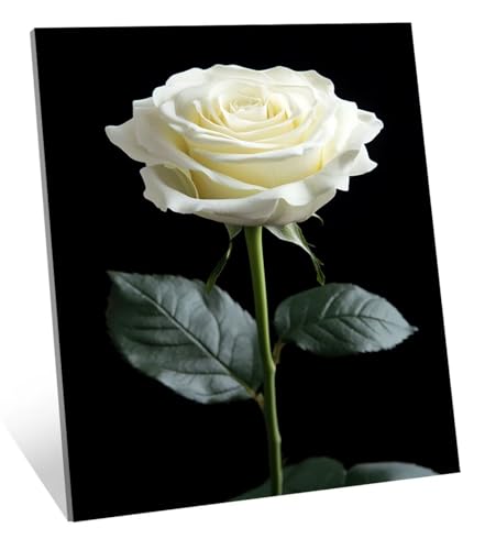 Diamond Painting Weiß Diamant Painting Bilder Rose Diamant Kunst Malerei Stickerei Set, DIY Vollbohrer Bastelset Erwachsene Diamanten, Als Geschenk, Zur Entspannung und Als Wanddeko 40x30 cm H-5793 von Generic