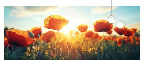 Diamond Painting kinder Sonnenuntergang Basteln Mädchen 8 Jahre Mohn Diamond Painting Klein 70x140cm Bastelset Erwachsene DIY 5D Eckige Steine Strass Kristall Stickerei Leinwand Bilder Dekor z861f Diamond Painting kinder Sonnenuntergang Basteln Mädchen 8 Jahre Mohn Diamond Painting Klein 70x140cm Bastelset Erwachsene DIY 5D Eckige Steine Strass Kristall Stickerei Leinwand Bilder Dekor z861f von Generic