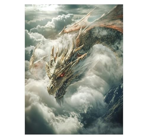 Drachen Malen Nach Zahlen Erwachsene Wolke Malen Nach Zahlen 60 x 80CM DIY Basteln Erwachsene Klarheit Farbe Leinwan Bilder mit Acrylfarben Set 3 Typen Pinsel für Deko Wohnzimmer Geschenke YH2-2635 von Generic